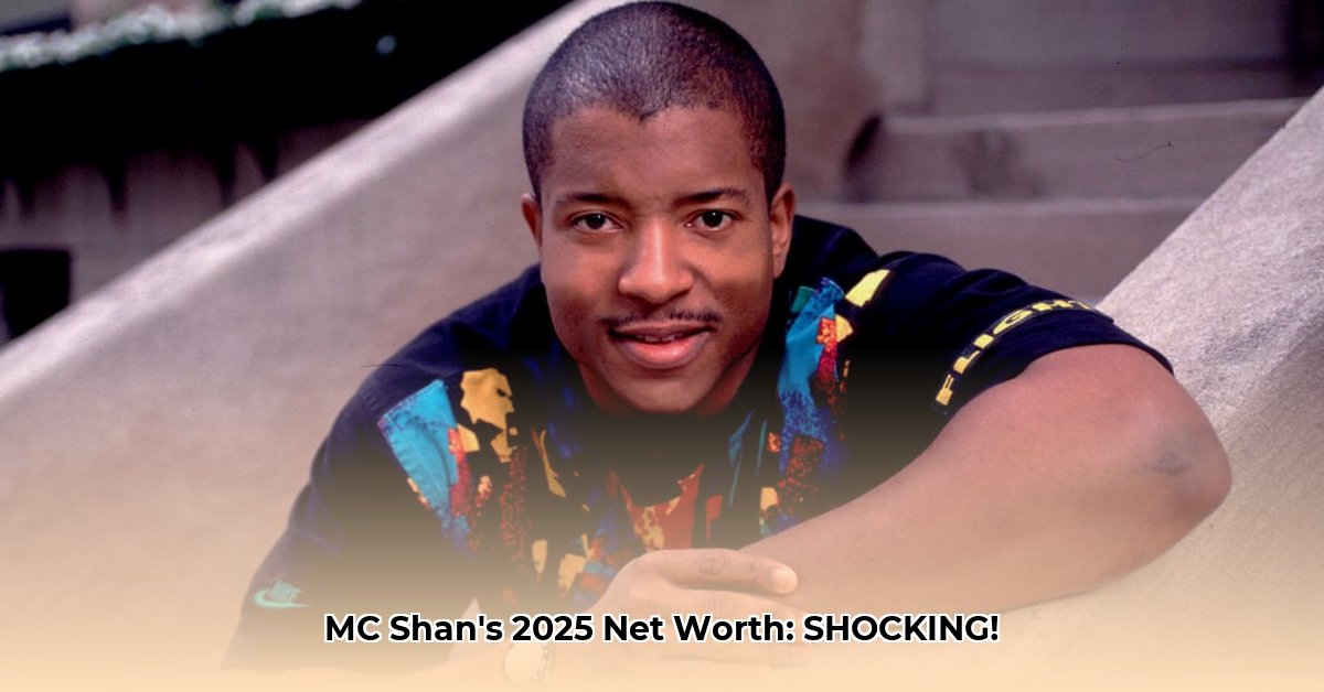 mc-shan-net-worth